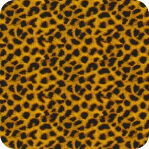 Film Hydrographique Animaux 2