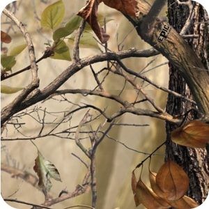 Film Hydrographique Camouflage 4