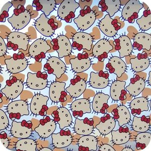 Film Hydrographique Special 8