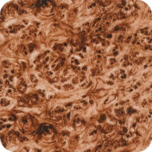 Film Hydrographique Bois 3